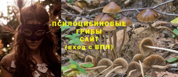 амф Верея