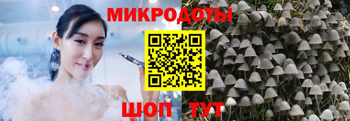 Галлюциногенные грибы прущие грибы Верхний Уфалей