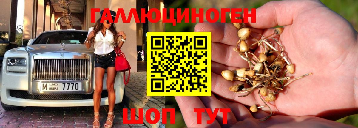 Псилоцибиновые грибы прущие грибы  Галлюциногенные грибы Psilocybe  Верхний Уфалей  Вход с VPN 